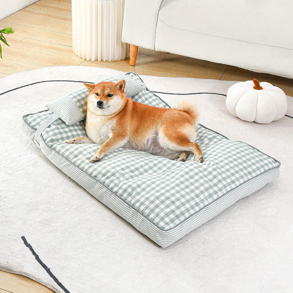 Shiba Inu repose paisiblement sur un tapis chien spacieux et confortable