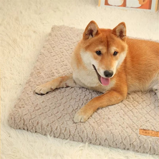 tapis-chien-reposant-soldoux