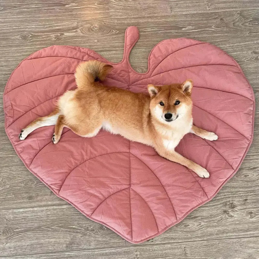tapis-chien-rose-folia