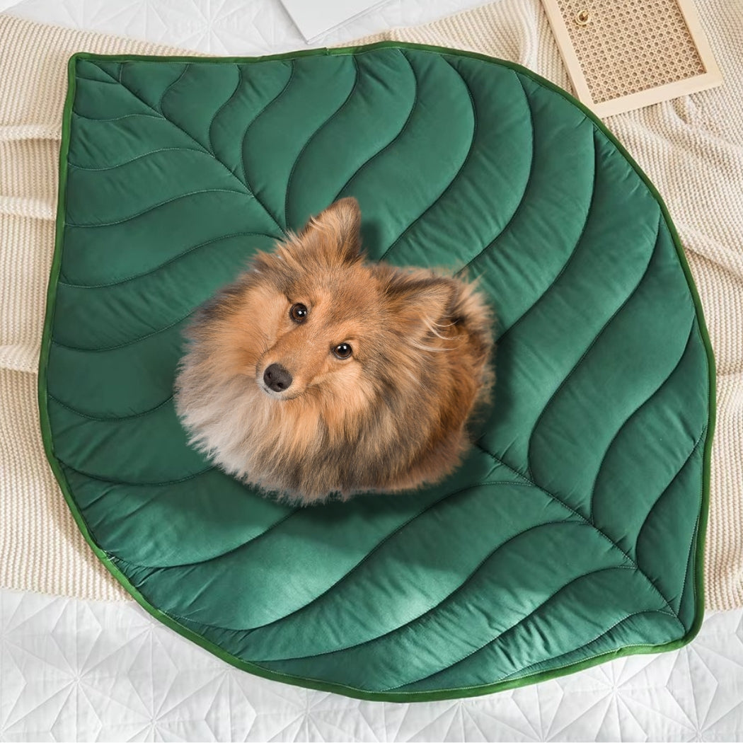 tapis-chien-vert-folia