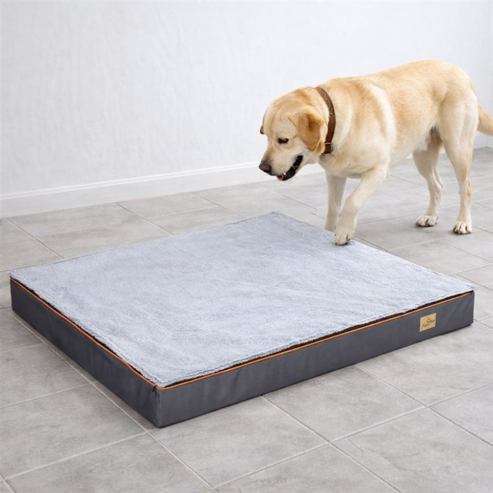 Labrador découvrant un tapis chien XXL apaisant et confortable, adapté aux grands chiens