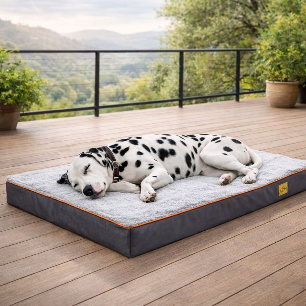 Dalmatien endormi sur un tapis chien XXL au confort doux, installé sur une terrasse en bois