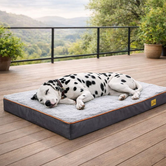 Dalmatien endormi sur un tapis chien XXL au confort doux, installé sur une terrasse en bois