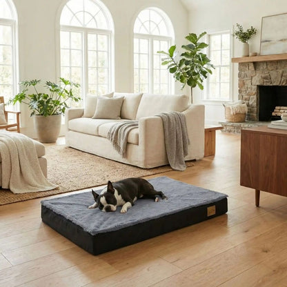 Tapis orthopédique chien apaisant avec soutien confortable pour boston terrier dans un salon moderne