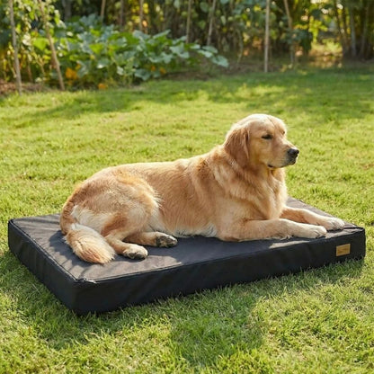 Un tapis orthopédique chien imperméable conçu pour le golden retriever, ce qui facilite le repos au jardin