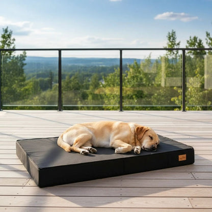 Tapis orthopédique chien stable et confortable idéal pour labrador en exterieur