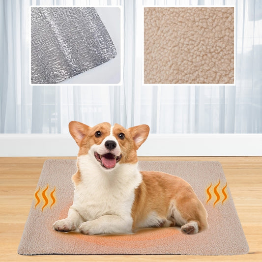 tapis pour chien | OTOKALOR™