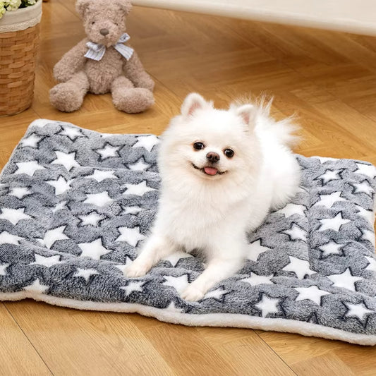 Spitz installé sur un tapis pour chien chaud et confortable