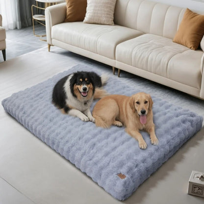 Tapis pour chien moelleux offrant un espace de repos confortable pour deux chiens