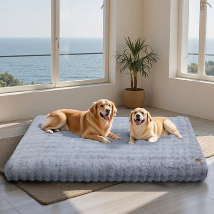 Tapis pour chien épais à surface ultra douce offrant un soutien confortable à deux grands chiens