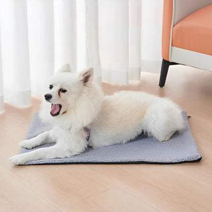 Toutou allongé dans le salon sur un tapis pour chien gris