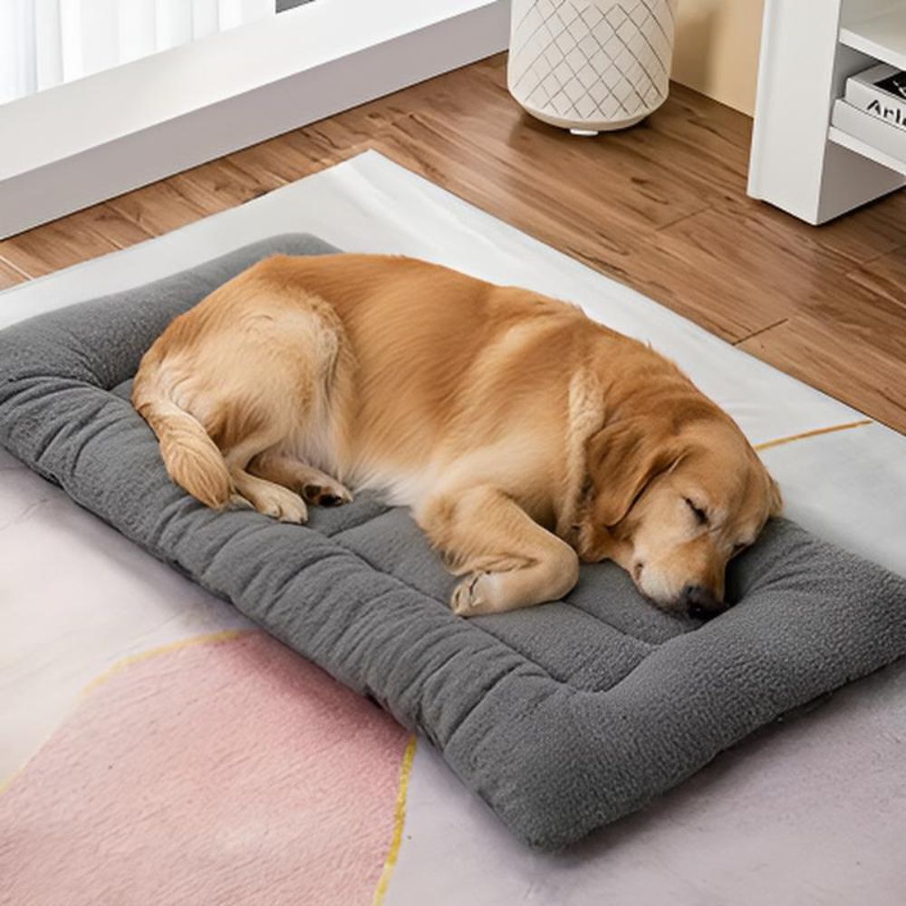 Golden endormi profondément sur un tapis pour grand chien moelleux et apaisant