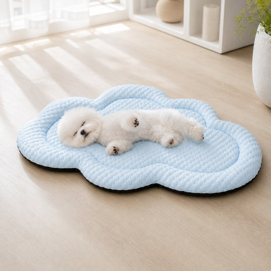 Bichon détendu sur un tapis rafraîchissant chien bleu clair en forme de nuage