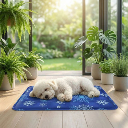 Bichon dormant paisiblement sur un tapis rafraichissant chien placé dans une veranda 