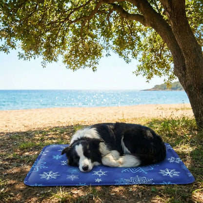 Tapis rafraichissant chien avec border collie au repos à l'ombre près de la plage pendant l'été