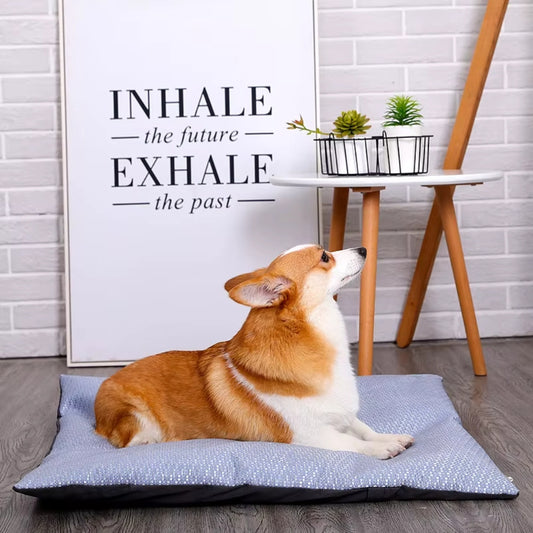 Corgi confortablement installé sur un tapis rafraichissant chien Coussin estival