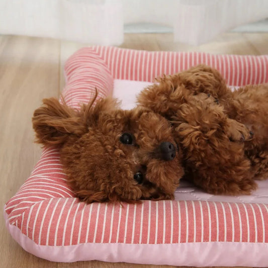 Caniche reposant la tête sur un tapis rafraichissant chien confortable