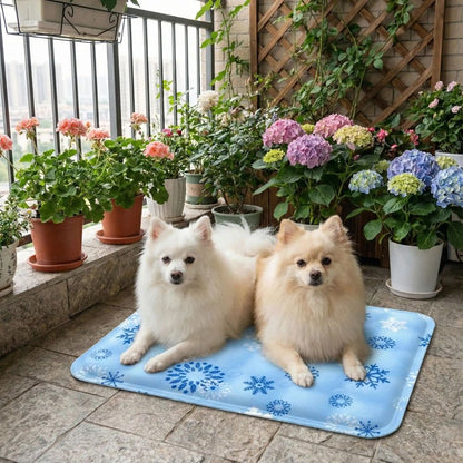 Tapis rafraichissant chien avec deux spitz au repos sur tapis frais sur un balcon fleuri en ete