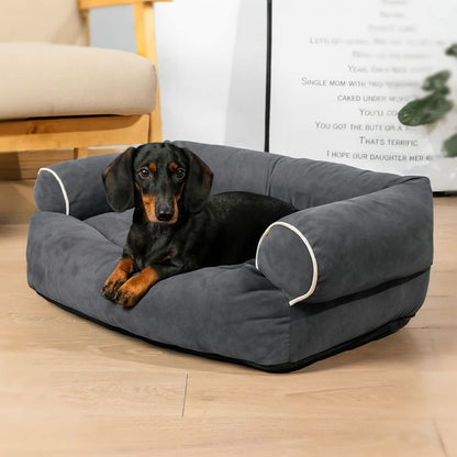 Teckel allongé sur un canapé chien à surface douce et moelleuse