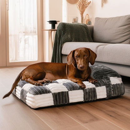 Teckel se reposant paisiblement sur un tapis chien indestructible doux, pensé pour l’apaisement