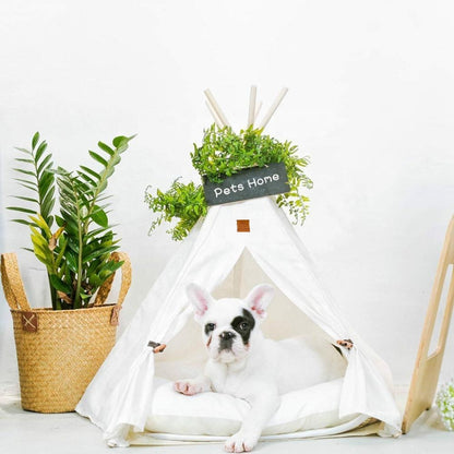 Bouledogue français confortablement installé dans sa tente chien