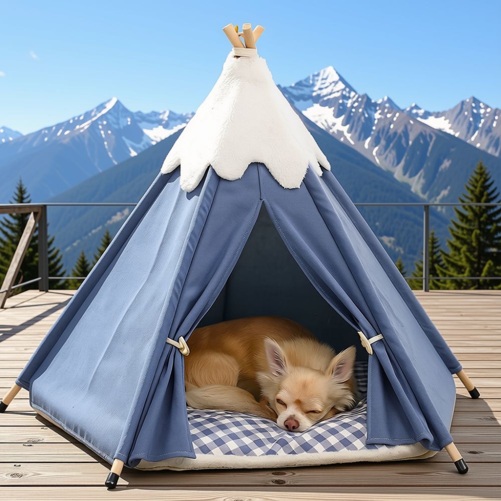 Chihuahua dort dans un tipi pour chien bleu, des montagnes en arrière-plan