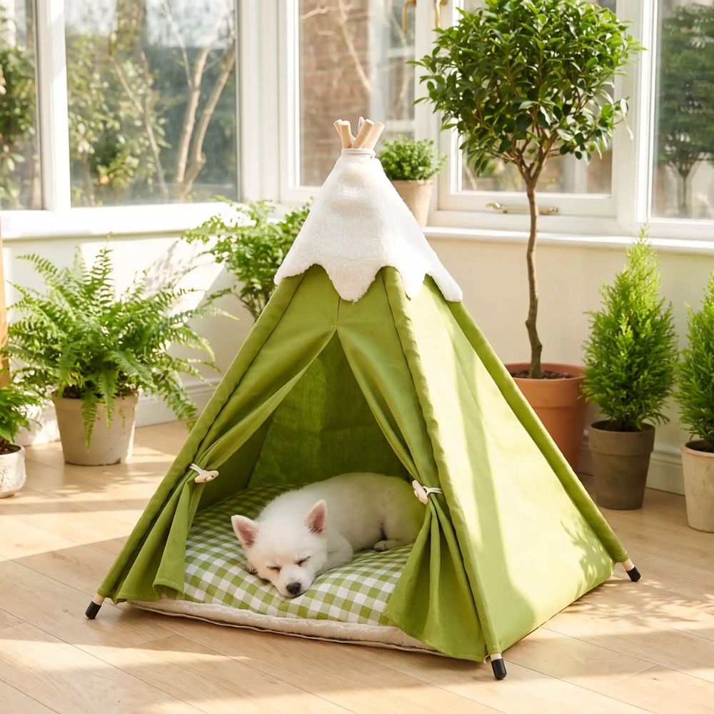 Petit chiot blanc dort dans un tipi pour chien vert, dans une véranda