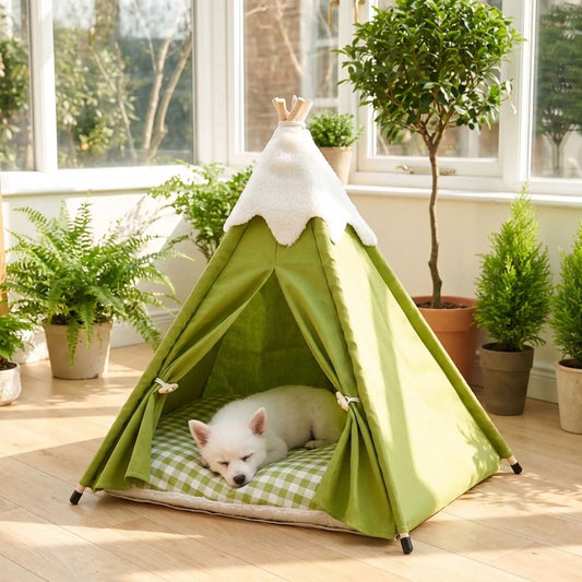 Petit chiot blanc dort dans un tipi pour chien vert, dans une véranda