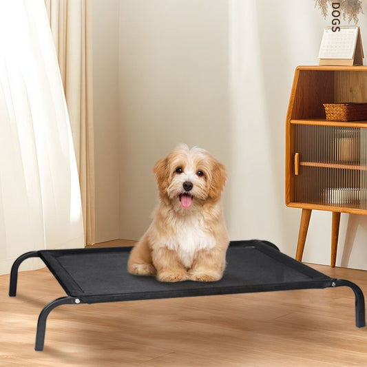 petit chien assis sur son lit pour chien surélevé, regarde tout droit