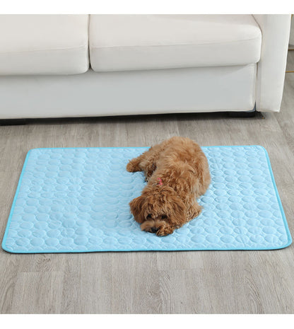 Toutou allongé au sol, apaisé sur son tapis rafraichissant pour chien