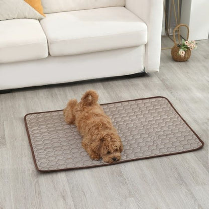 Toutou soulagé de la chaleur grâce au tapis rafraichissant pour chien