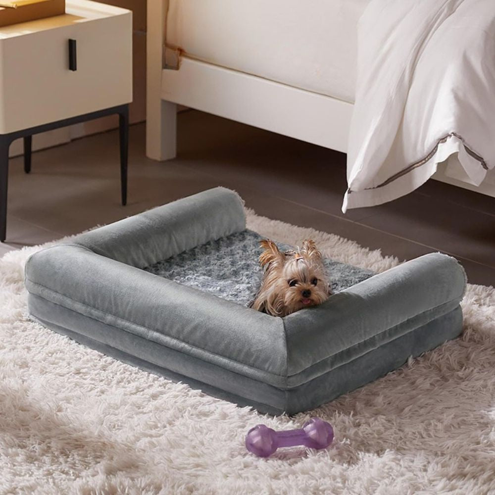 Petit Yorkshire reposant dans un canapé lit pour chien aux bords surélevés rassurants