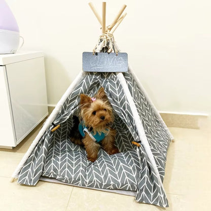 Yorkshire assis, regarde depuis sa niche pour chien intérieur au design imprimé