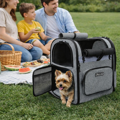 yorkshire sortant d’un sac à dos pour chien avec maille respirante lors d’un pique-nique