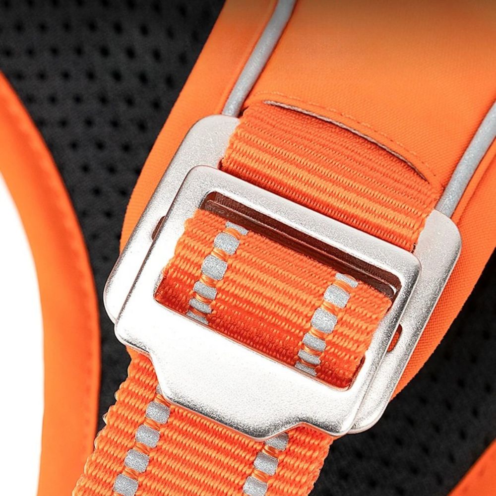 Zoom sur la boucle en aluminium du harnais pour chien multifonction solide et résistante